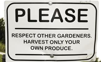 gartengemeischaft_cat